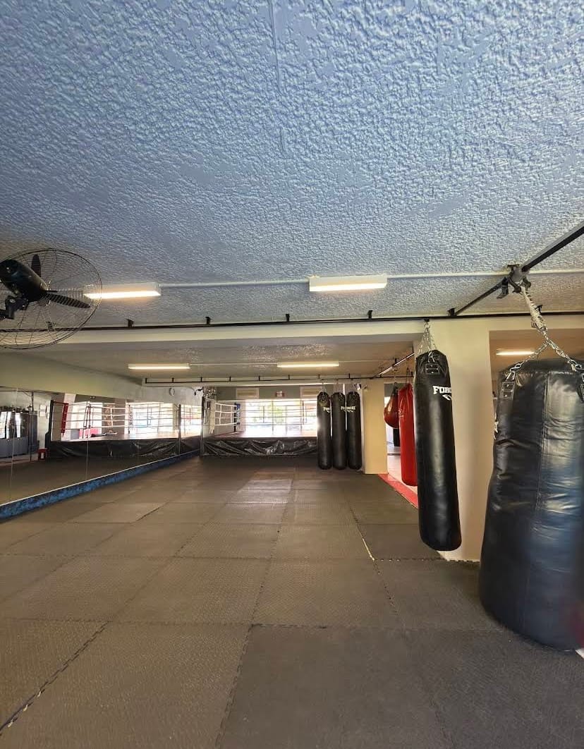 Μέσα στην Kallistis Fight Academy — σάκοι
